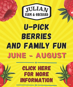 JFO_Julian Chamber Ad_Summer_2024_300pxx450px.jpg
