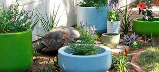 GARDEN LANDSCAPE DESIGN