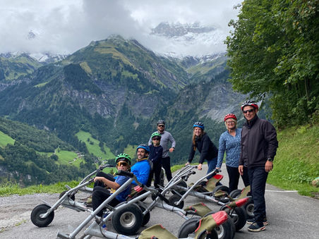 Giant Forest trail- Elm