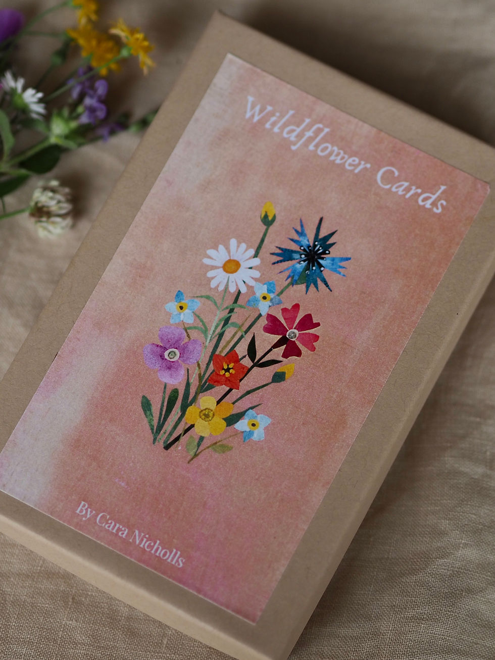 Thumbnail: 30 Wildflower Cards & Guidebook