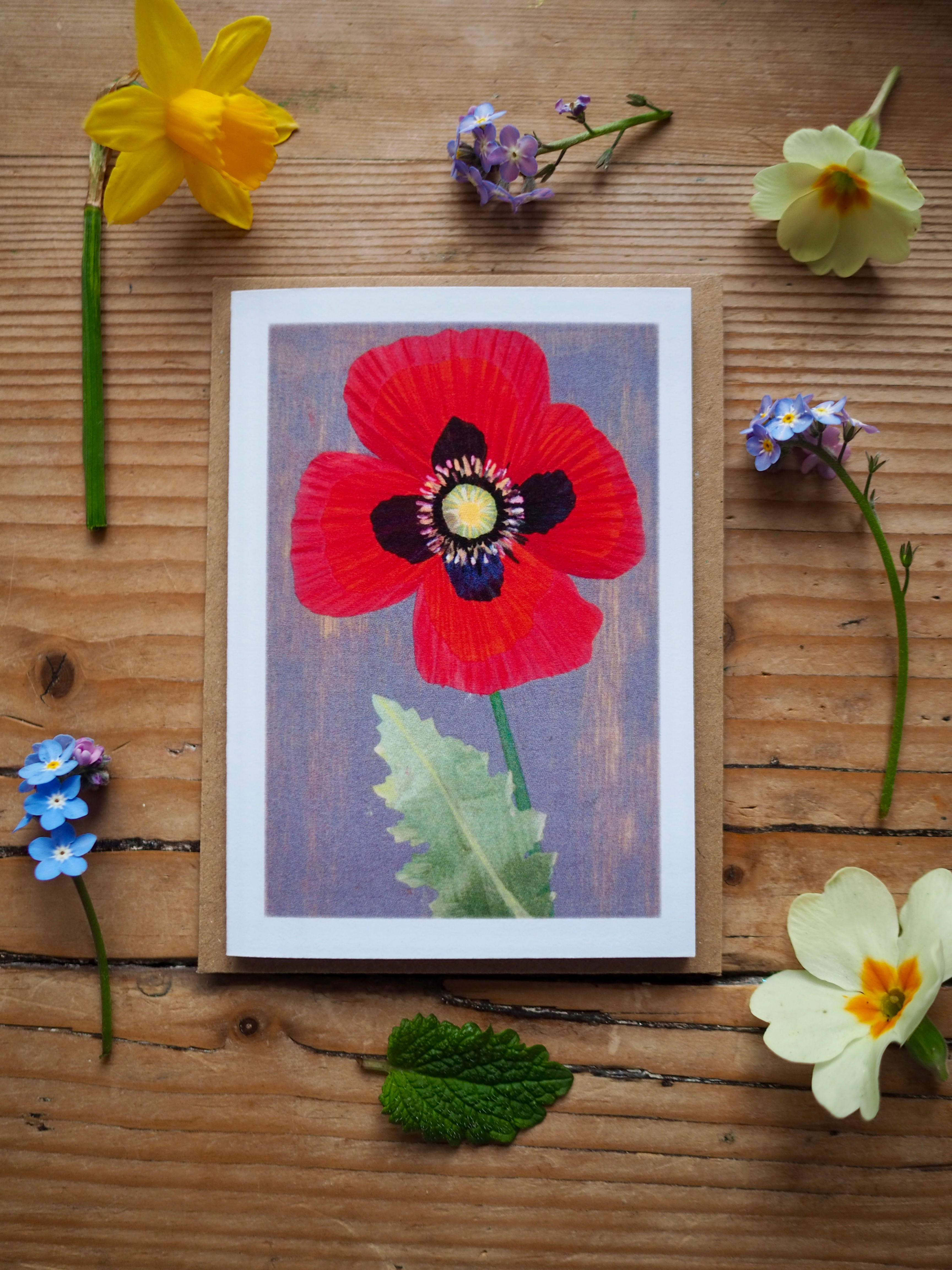 Poppy - Mini Card