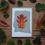 Thumbnail: Oak - Mini Card