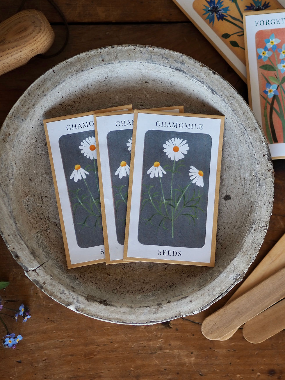 Thumbnail: Wildflower Seeds