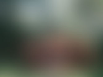 What inspired the creation of Wildly Crafted and what motivated us to venture into the cabin building industry?