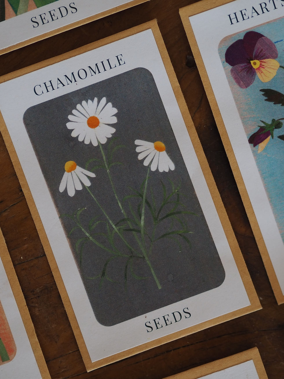 Thumbnail: Wildflower Seeds