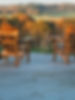image00025.jpeg