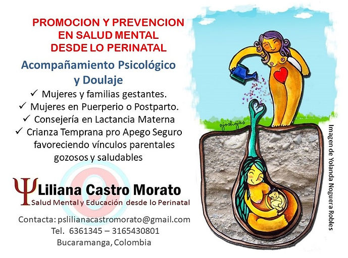acompañamiento_profesional_en_salud_ment