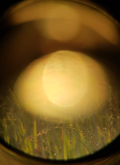 20200804_200001.jpg