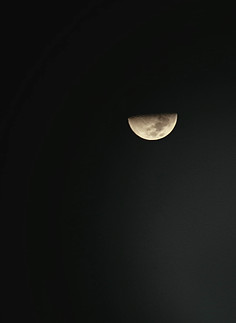 20200628_222431.jpg