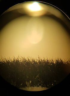20200804_195044.jpg