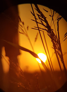 20200804_202423.jpg