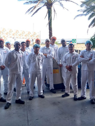 Treinamento de Rec. de Operador de Transpaleteira Elétrica.
