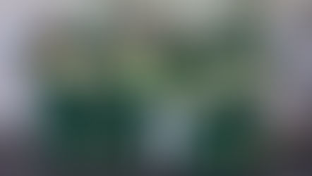 Curso NR 11 - Cliente Wilson Sons