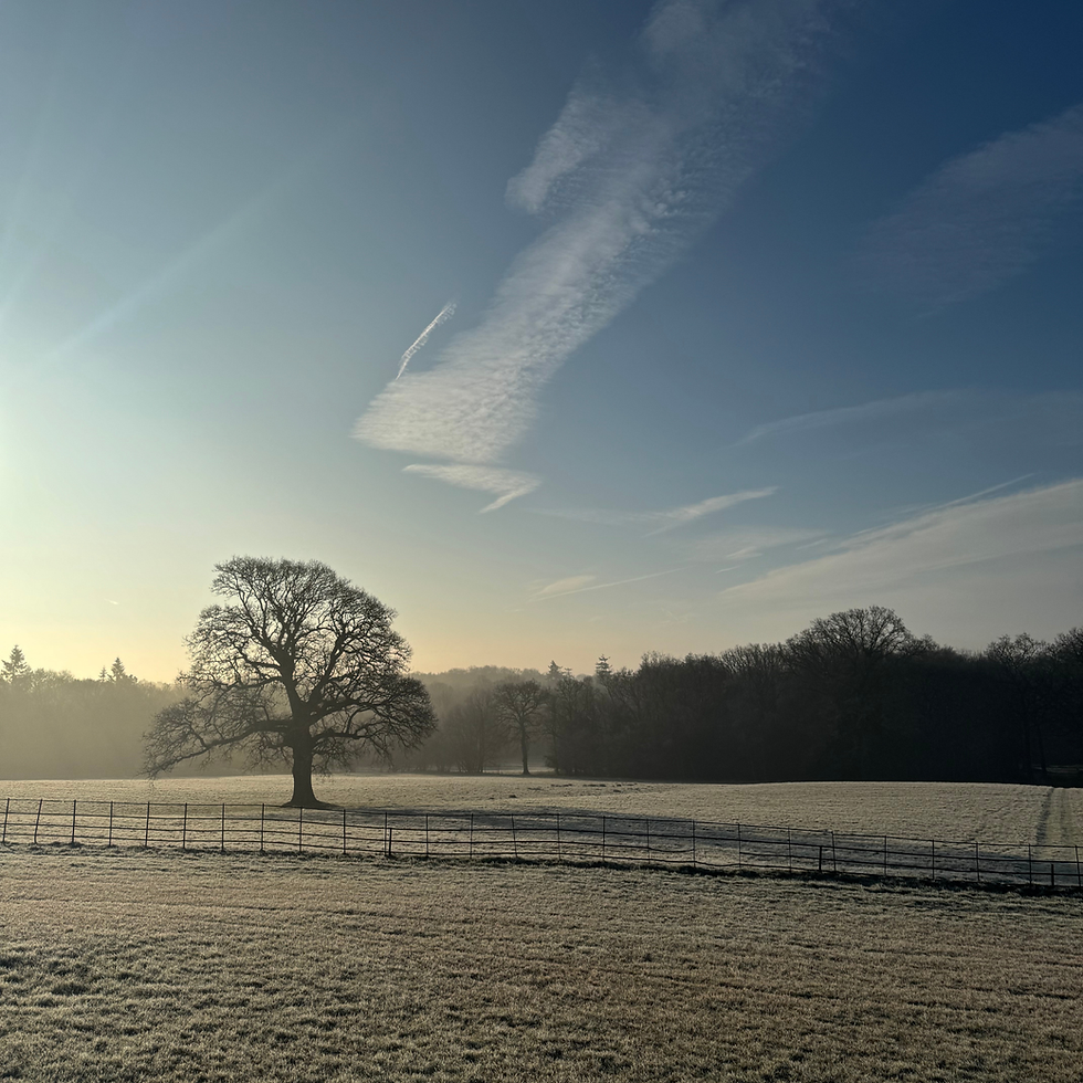 Winter/Spring Content Photo Day - Bolney Estate (1)