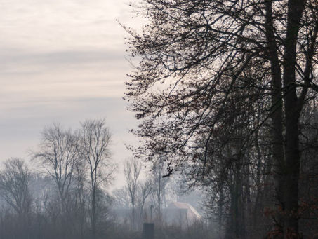 Winter Biology and Why January Feels Like Recovery: Understanding Your Nervous System in the Quiet Months