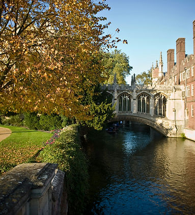 Inkie SOcials (2).png