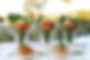 297294272_5814781021865186_7355186616349650125_n.jpeg
