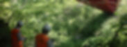 R0011645_edited.jpg