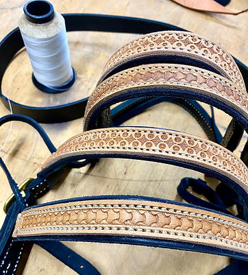 dressage browband