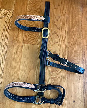 bitless sidepull bridle