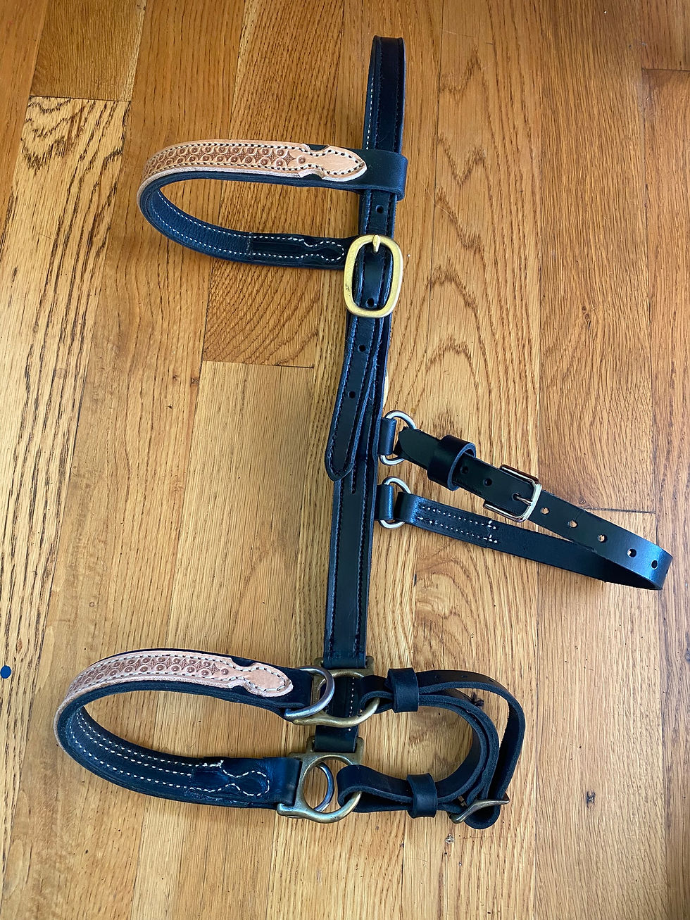 Thumbnail: Side Pull Bitless Bridle