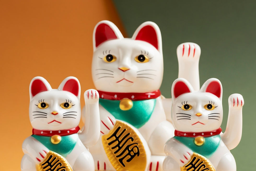 Japan: The Land of the Rising Sun and Endless Cat Cafés
