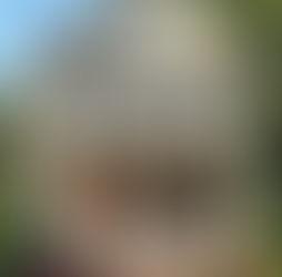 Nice house with flowers in front