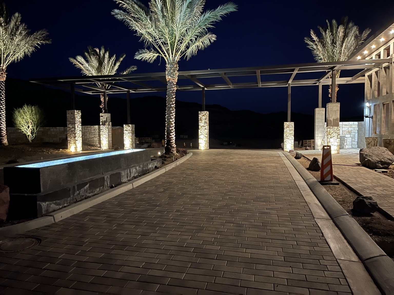 Patio and palms after dark