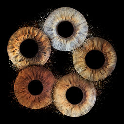 iris art oog kunst effecten eyecatcher woonkamer kantoor