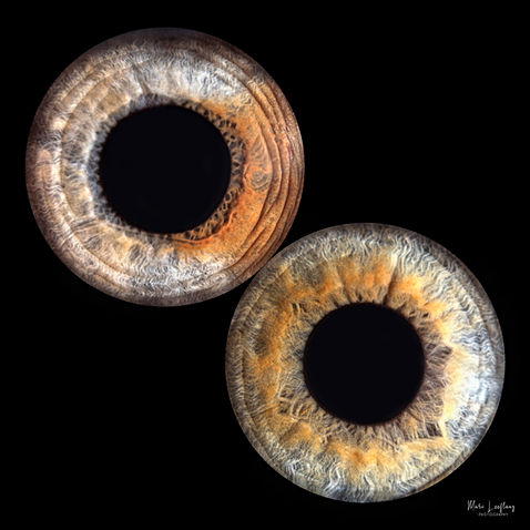 iris art oog kunst effecten eyecatcher woonkamer kantoor