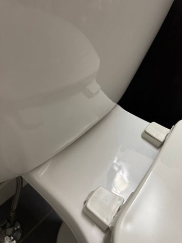 Toilet seat and hinges after detailed cleaning — polished and sanitized by Cleanphoria.