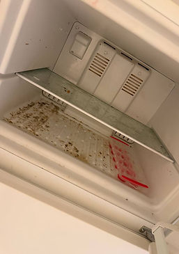 Dirty freezer shelf with food stains and buildup — before Cleanphoria cleaning.