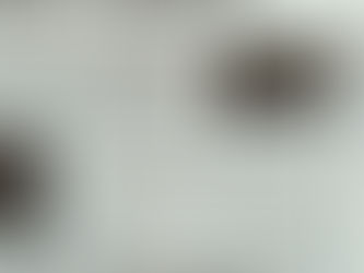 「英字新聞」に掲載