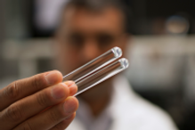 gel_clot_assay_200.png