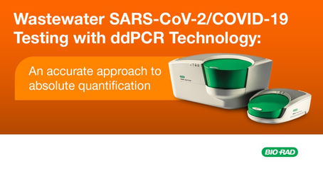 Wastewater SARS-CoV-2/COVID-19 Testing with ddPCR Technology