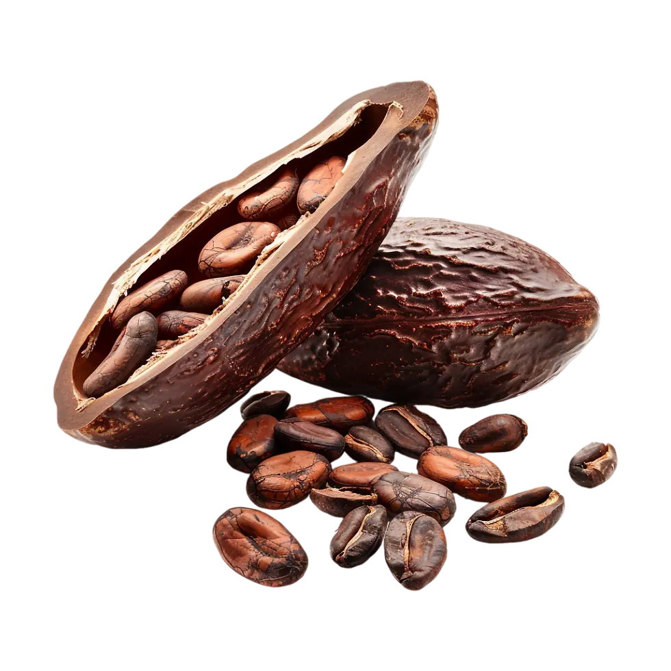 Cocoa Nibs_2x.webp
