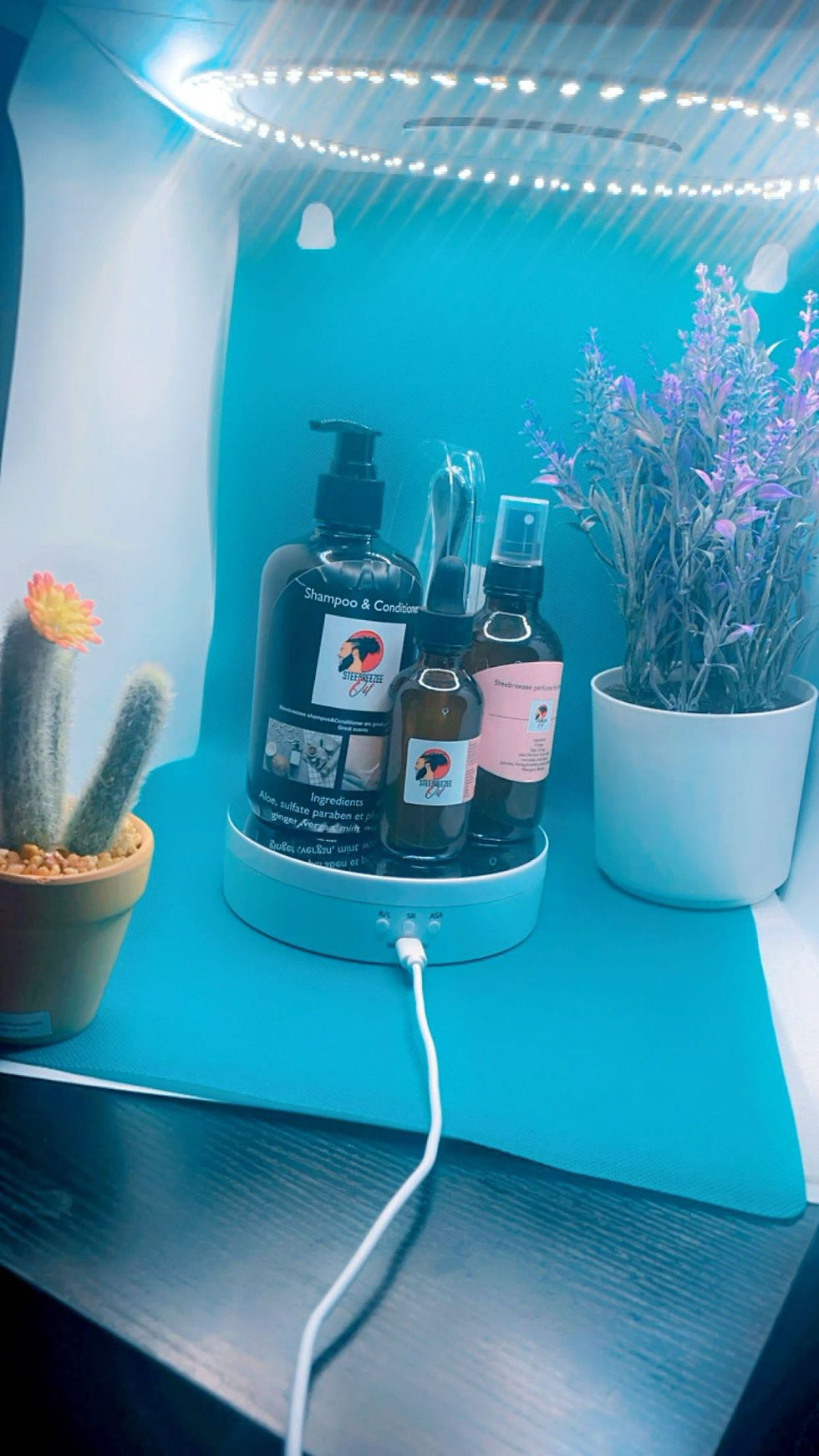 Gam lwil cheve . Champou cheve, pafun cheve, Steebreezee oil se yon lwil ki bon