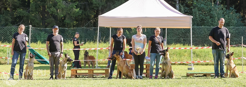 VBSÖ Clubsiegerschau 2025