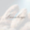 Liesenborgs_Referentie_website.jpg
