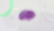 pexels-googledeepmind-17483868.jpg