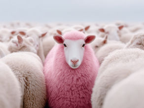 Een sterk merk moet zich onderscheiden