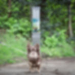 5H2A1107-Edit-2.jpg