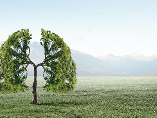7 Ways to Love Your Lungs This Fall