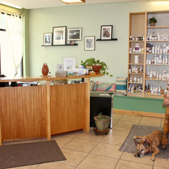 Denver Community Acupuncture