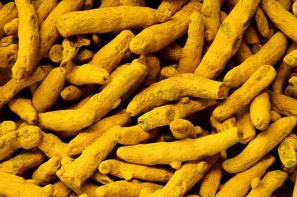 natural-color-and-aroma-dried-turmeric-finger-513.jpg