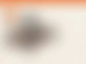 מודלי בסיס לסדרות זמן משנים את חיזוי הביקושים בארגון