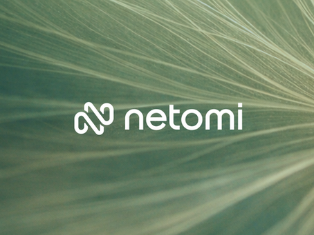 סוכנים חכמים בארגון: מה שיטת Netomi מלמדת על הטמעת בינה מלאכותית בקנה מידה גדול