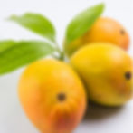 Alphonso Mango