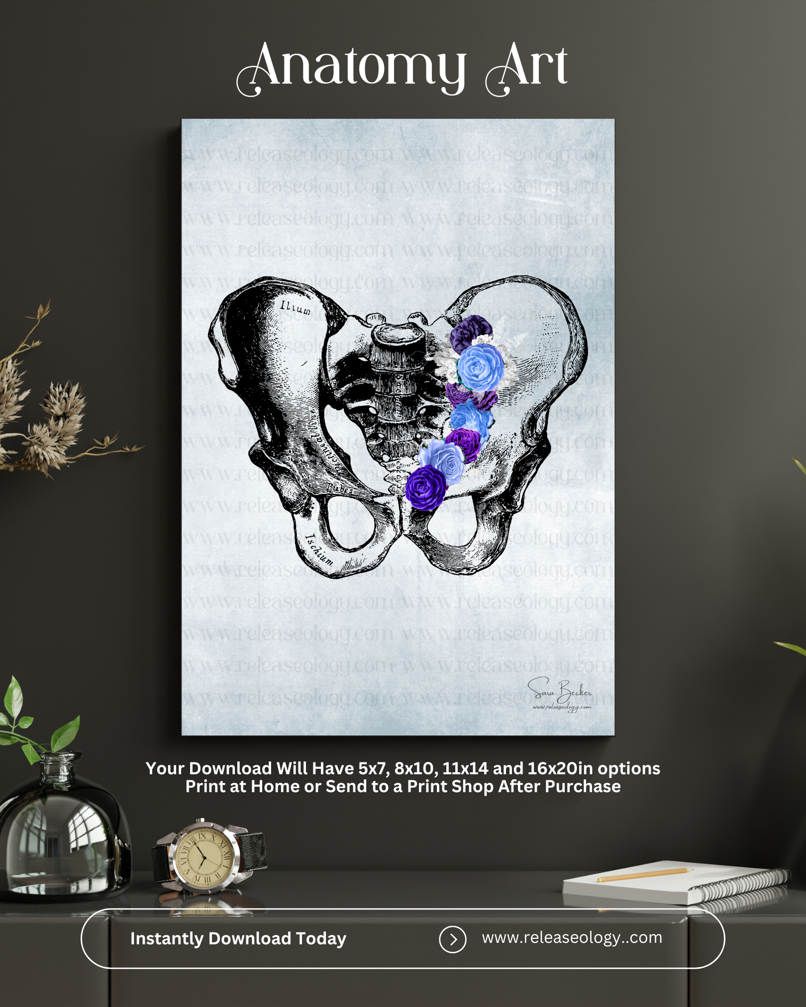 Pelvis Anatomy Art with Blue and Purple Flowers