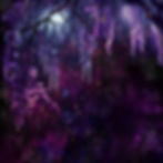 ws_0001_w.jpg